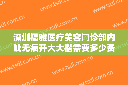 深圳福雅医疗美容门诊部内眦无痕开大大楷需要多少费用?怎么样?