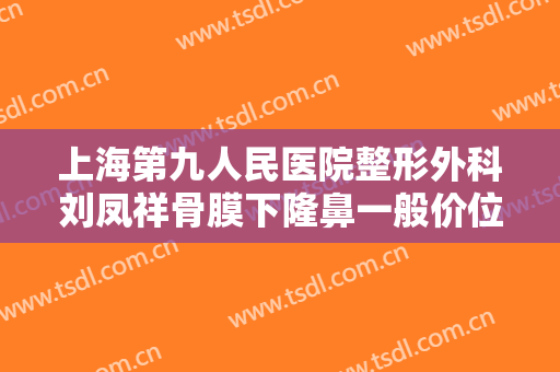 上海第九人民医院整形外科刘凤祥骨膜下隆鼻一般价位是多少费用?怎么样?