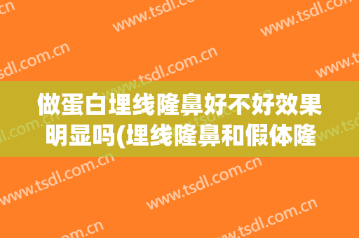 做蛋白埋线隆鼻好不好效果明显吗(埋线隆鼻和假体隆鼻哪个好)