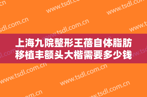 上海九院整形王蓓自体脂肪移植丰额头大楷需要多少钱?贵不贵?