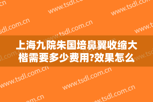 上海九院朱国培鼻翼收缩大楷需要多少费用?效果怎么样?