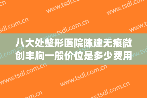 八大处整形医院陈建无痕微创丰胸一般价位是多少费用?效果怎么样?(陈文八大处整形医院)