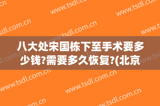 八大处宋国栋下至手术要多少钱?需要多久恢复?(北京八大处医院宋国栋)