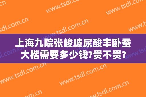 上海九院张峻玻尿酸丰卧蚕大楷需要多少钱?贵不贵?
