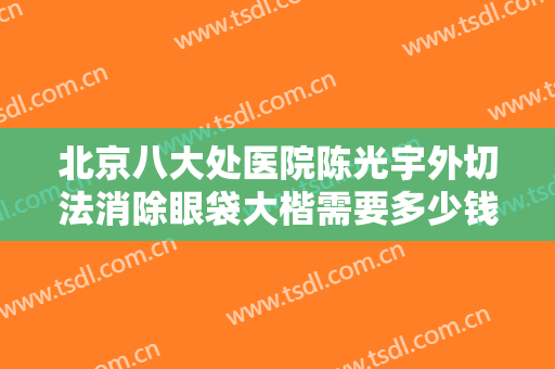 北京八大处医院陈光宇外切法消除眼袋大楷需要多少钱?效果怎么样?