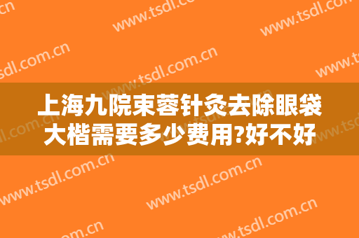 上海九院束蓉针灸去除眼袋大楷需要多少费用?好不好?
