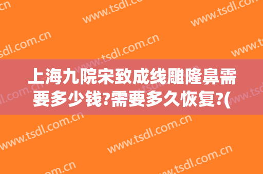 上海九院宋致成线雕隆鼻需要多少钱?需要多久恢复?(上海九院整形鼻子多少钱)