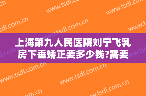 上海第九人民医院刘宁飞乳房下垂矫正要多少钱?需要多久恢复?