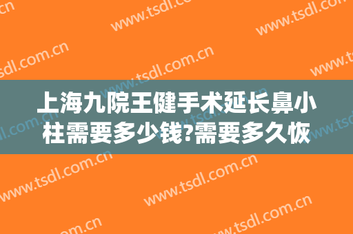 上海九院王健手术延长鼻小柱需要多少钱?需要多久恢复?(九院王健做鼻子可以吗)