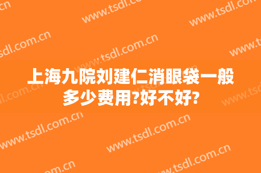 上海九院刘建仁消眼袋一般多少费用?好不好?