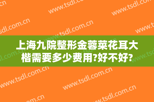 上海九院整形金蓉菜花耳大楷需要多少费用?好不好?
