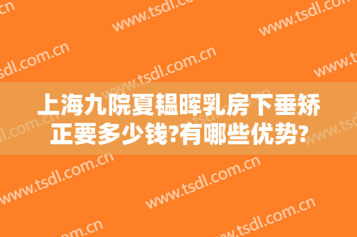 上海九院夏韫晖乳房下垂矫正要多少钱?有哪些优势?