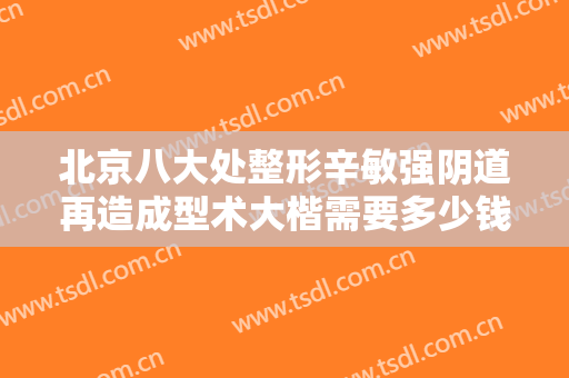 北京八大处整形辛敏强阴道再造成型术大楷需要多少钱?好不好?