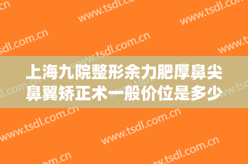 上海九院整形余力肥厚鼻尖鼻翼矫正术一般价位是多少费用?怎么样?(上海九院鼻梁整形费用)