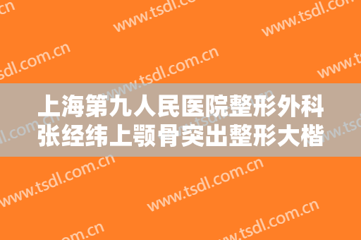 上海第九人民医院整形外科张经纬上颚骨突出整形大楷需要多少费用?贵不贵?