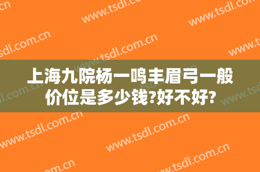 上海九院杨一鸣丰眉弓一般价位是多少钱?好不好?