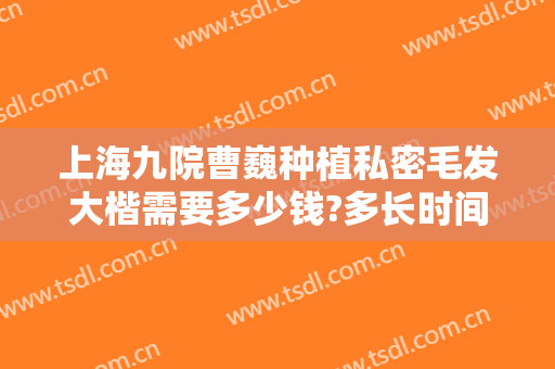上海九院曹巍种植私密毛发大楷需要多少钱?多长时间恢复?