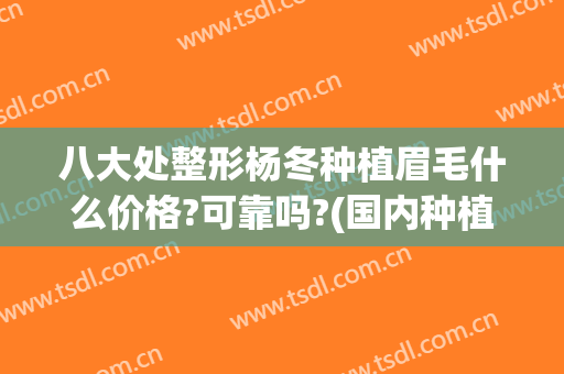 八大处整形杨冬种植眉毛什么价格?可靠吗?(国内种植眉毛最好的医院)