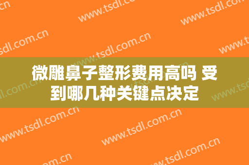 微雕鼻子整形费用高吗 受到哪几种关键点决定