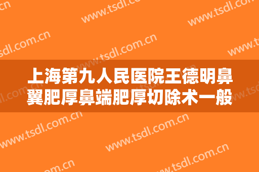 上海第九人民医院王德明鼻翼肥厚鼻端肥厚切除术一般价位是多少?贵不贵?