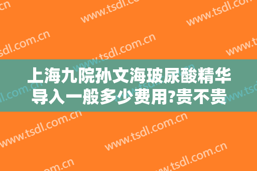 上海九院孙文海玻尿酸精华导入一般多少费用?贵不贵?