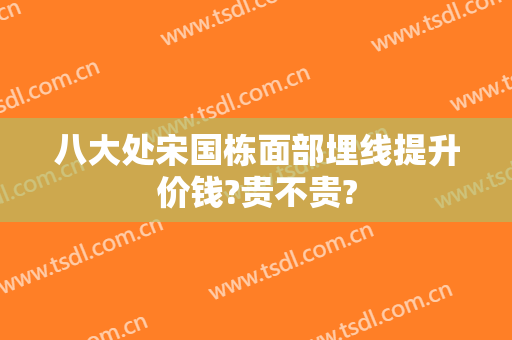 八大处宋国栋面部埋线提升价钱?贵不贵?