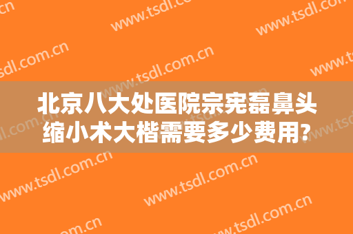 北京八大处医院宗宪磊鼻头缩小术大楷需要多少费用?有哪些优势?