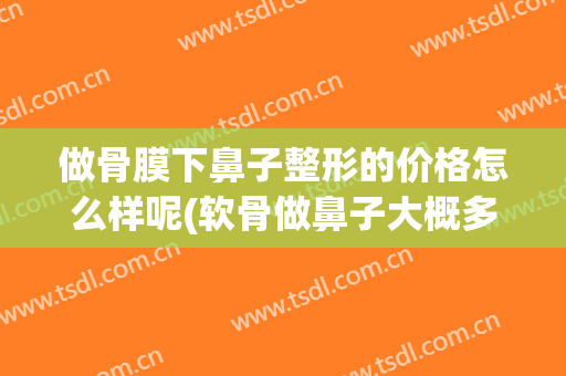做骨膜下鼻子整形的价格怎么样呢(软骨做鼻子大概多少钱)