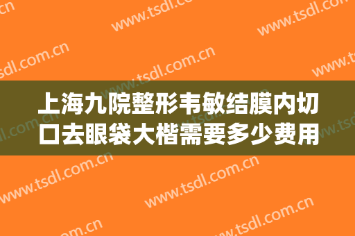 上海九院整形韦敏结膜内切口去眼袋大楷需要多少费用?可靠吗?(上海九院割眼袋费用)