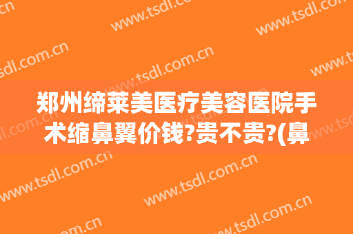 郑州缔莱美医疗美容医院手术缩鼻翼价钱?贵不贵?(鼻子收缩毛孔的医美项目多少钱)