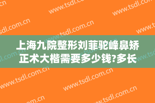 上海九院整形刘菲驼峰鼻矫正术大楷需要多少钱?多长时间恢复?(驼峰鼻整容要多少钱)