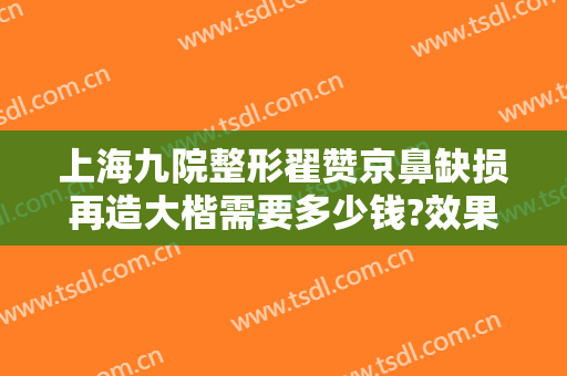 上海九院整形翟赞京鼻缺损再造大楷需要多少钱?效果怎么样?