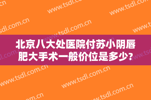 北京八大处医院付苏小阴唇肥大手术一般价位是多少?有哪些优势?