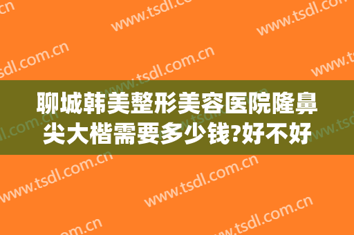 聊城韩美整形美容医院隆鼻尖大楷需要多少钱?好不好?(整容高鼻梁要多少钱)