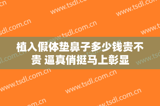 植入假体垫鼻子多少钱贵不贵 逼真俏挺马上彰显