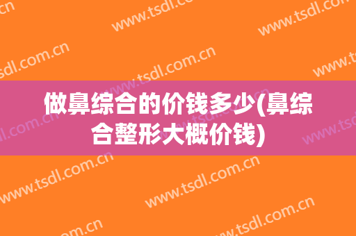 做鼻综合的价钱多少(鼻综合整形大概价钱)
