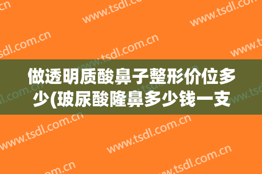做透明质酸鼻子整形价位多少(玻尿酸隆鼻多少钱一支)