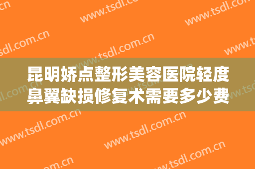 昆明娇点整形美容医院轻度鼻翼缺损修复术需要多少费用?好不好?(昆明医院鼻部整形)
