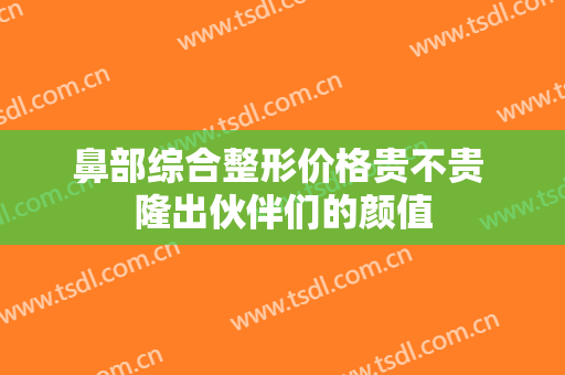 鼻部综合整形价格贵不贵 隆出伙伴们的颜值