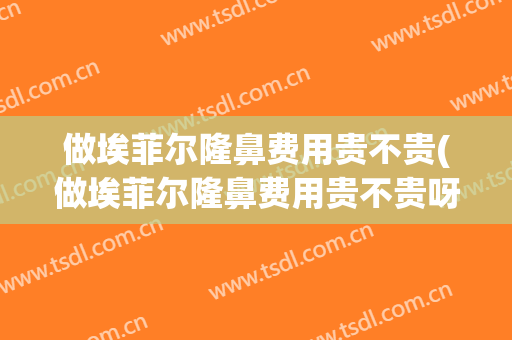 做埃菲尔隆鼻费用贵不贵(做埃菲尔隆鼻费用贵不贵呀)