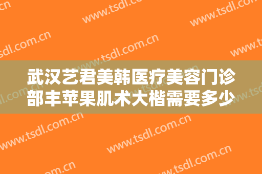 武汉艺君美韩医疗美容门诊部丰苹果肌术大楷需要多少钱?靠谱吗?