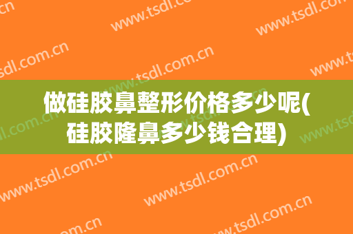 做硅胶鼻整形价格多少呢(硅胶隆鼻多少钱合理)