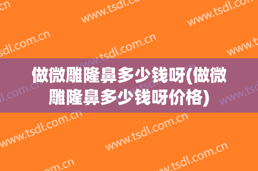 做微雕隆鼻多少钱呀(做微雕隆鼻多少钱呀价格)