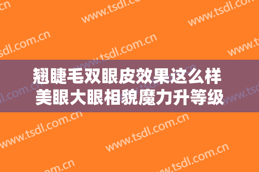 翘睫毛双眼皮效果这么样 美眼大眼相貌魔力升等级