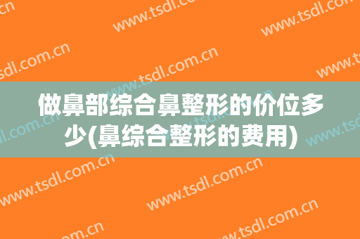 做鼻部综合鼻整形的价位多少(鼻综合整形的费用)