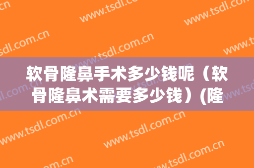 软骨隆鼻手术多少钱呢（软骨隆鼻术需要多少钱）(隆鼻软骨价钱多少钱)