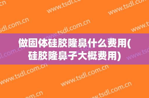 做固体硅胶隆鼻什么费用(硅胶隆鼻子大概费用)