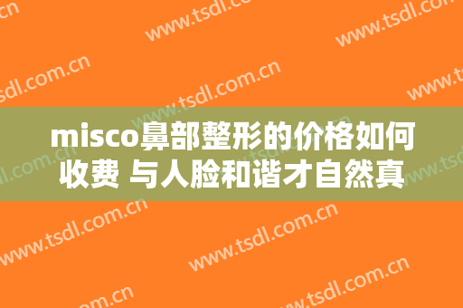 misco鼻部整形的价格如何收费 与人脸和谐才自然真实