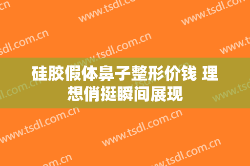 硅胶假体鼻子整形价钱 理想俏挺瞬间展现
