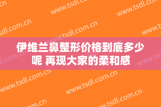伊维兰鼻整形价格到底多少呢 再现大家的柔和感